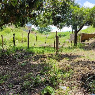 d4eaa74c-3e4f-44e7-a3a6-def820b1abd2_edited